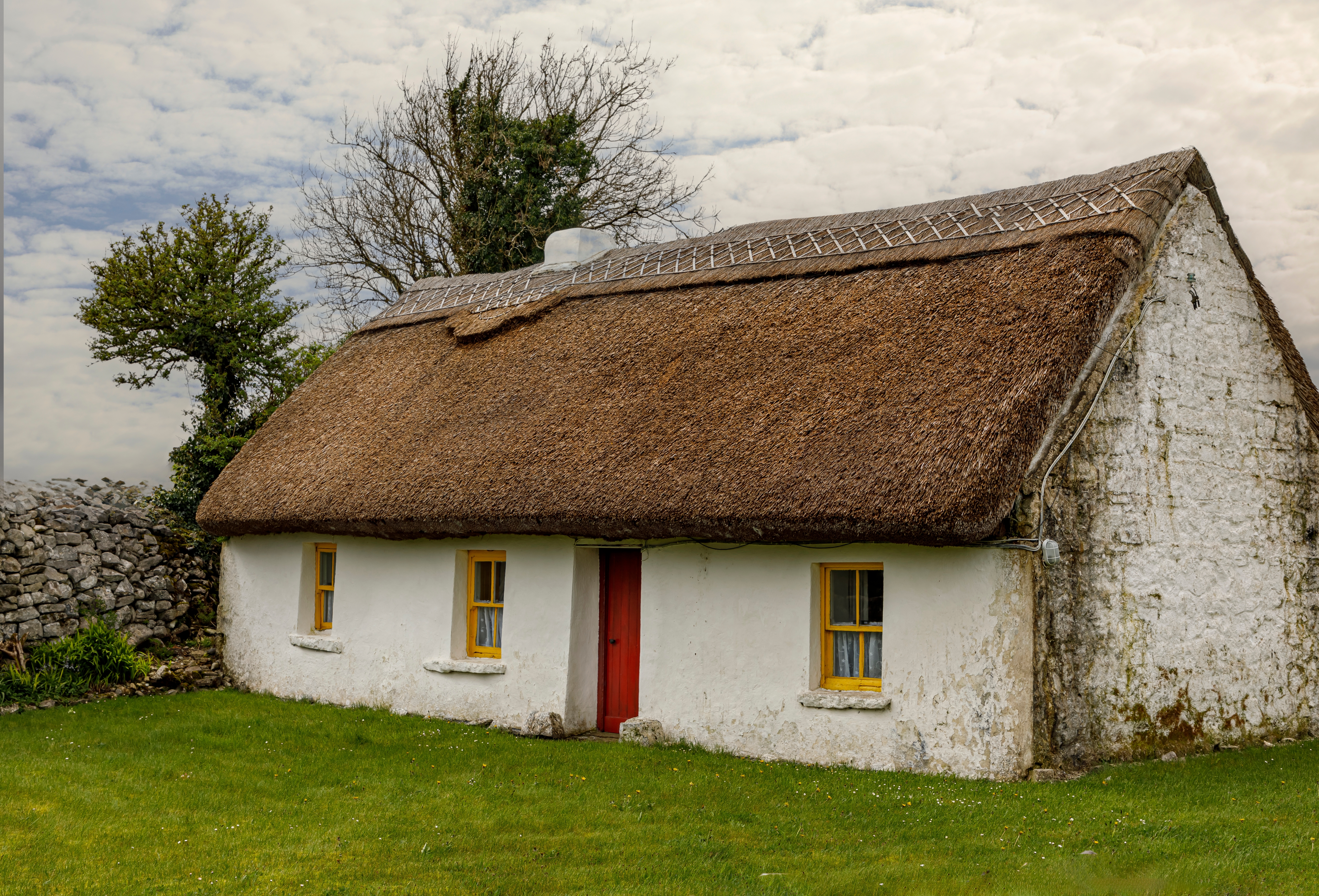 Thatched Roof