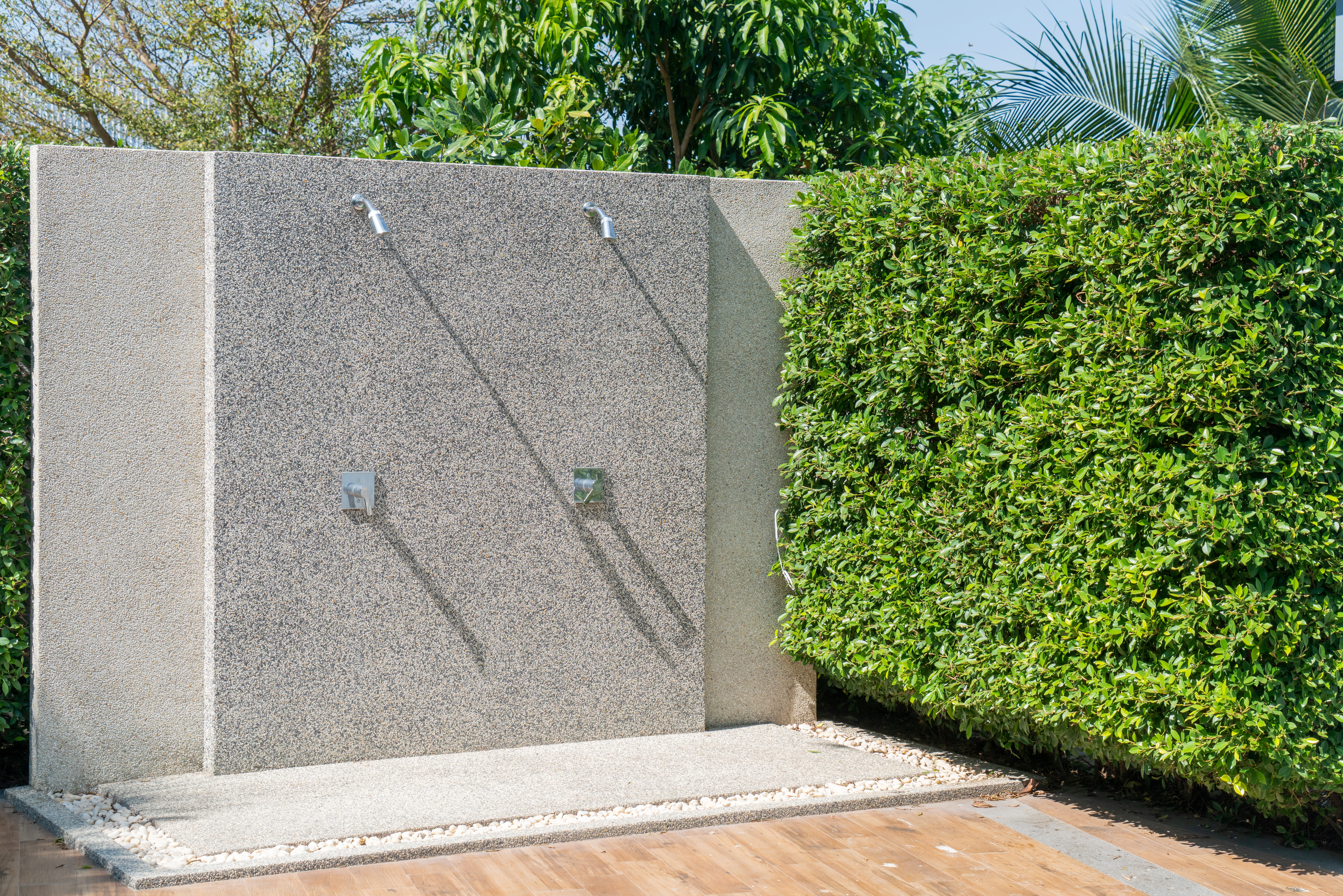 Garden-Focused Shower with Climbing Plants