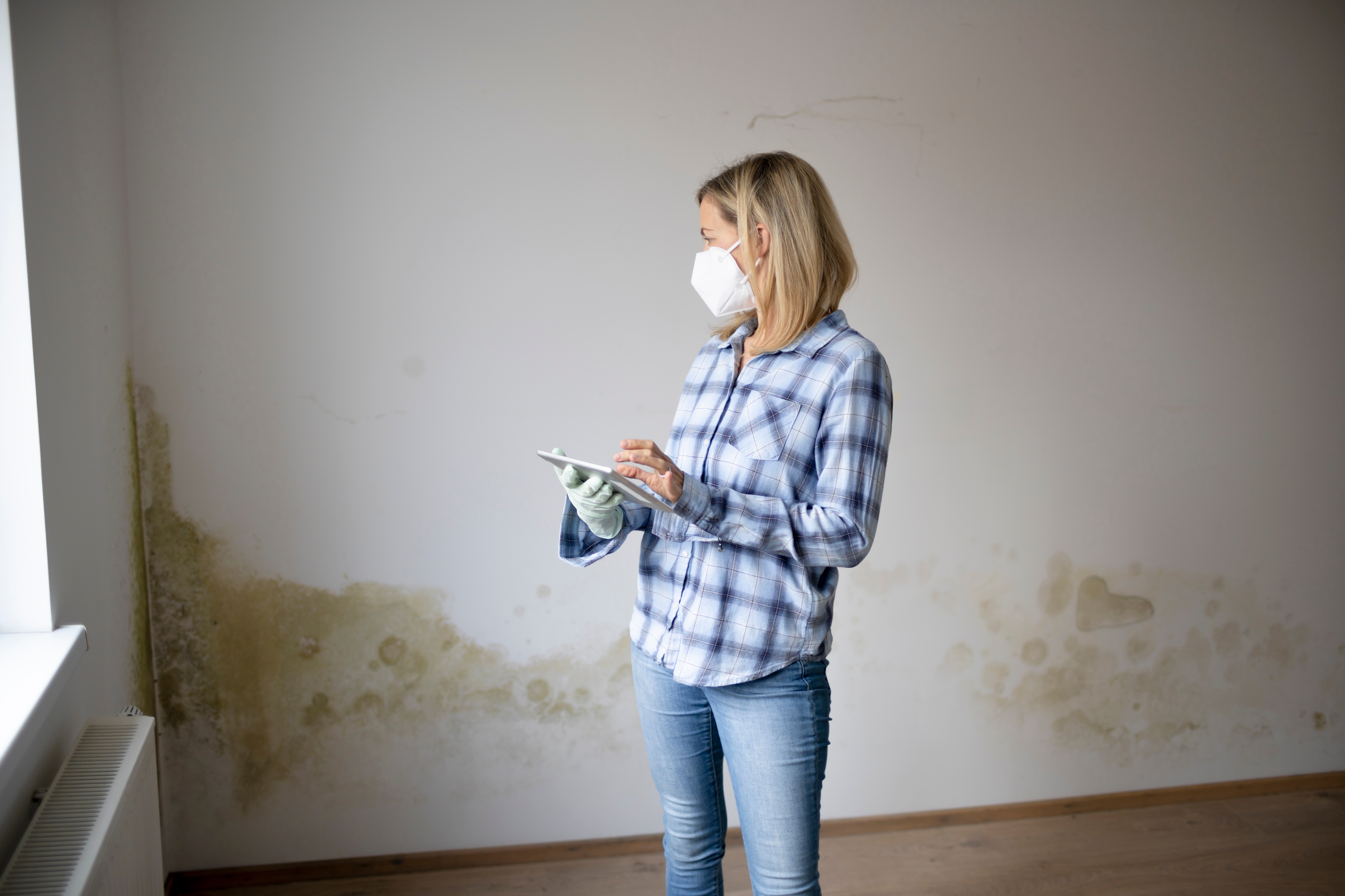 Damp walls 3