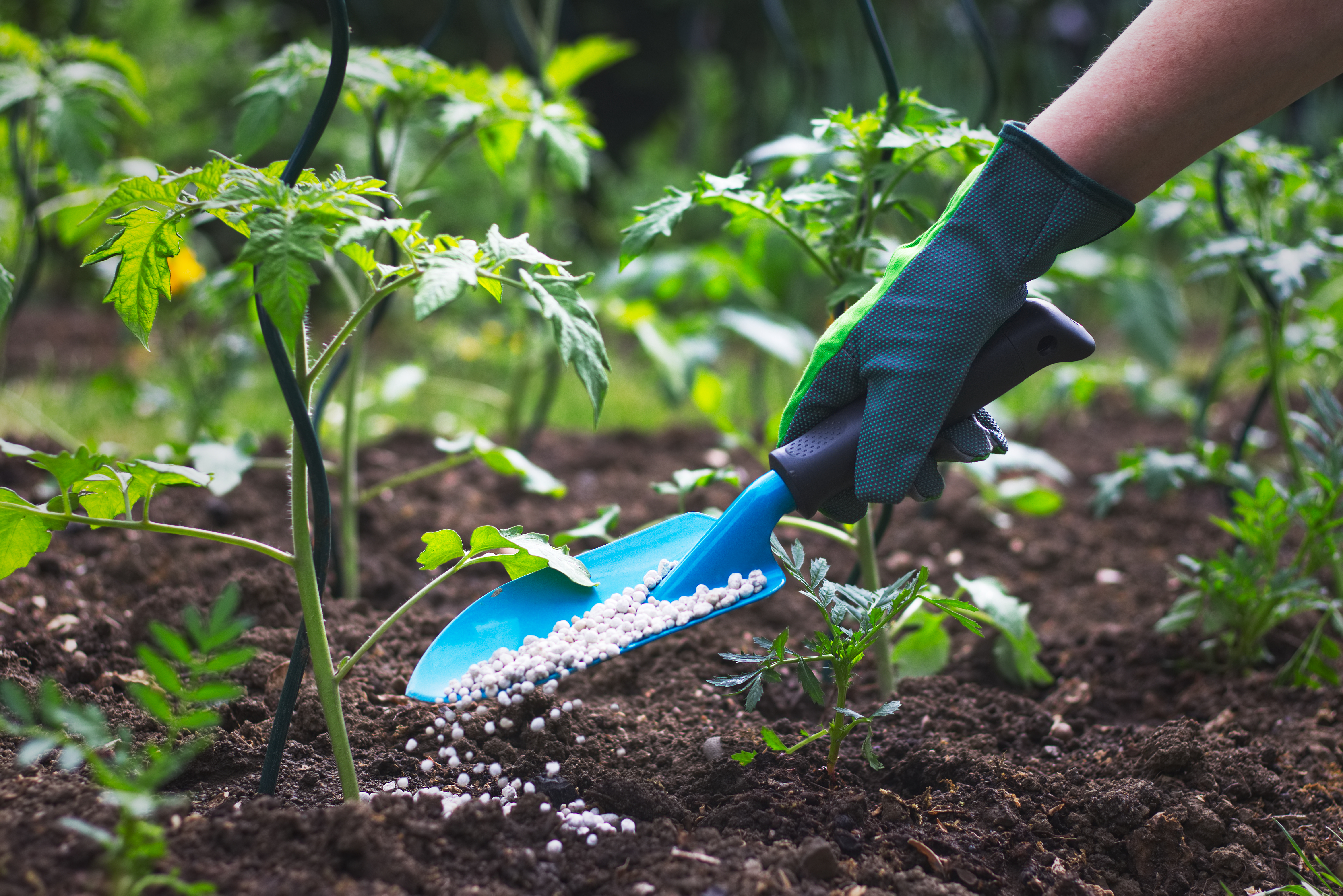garden fertilizer 2
