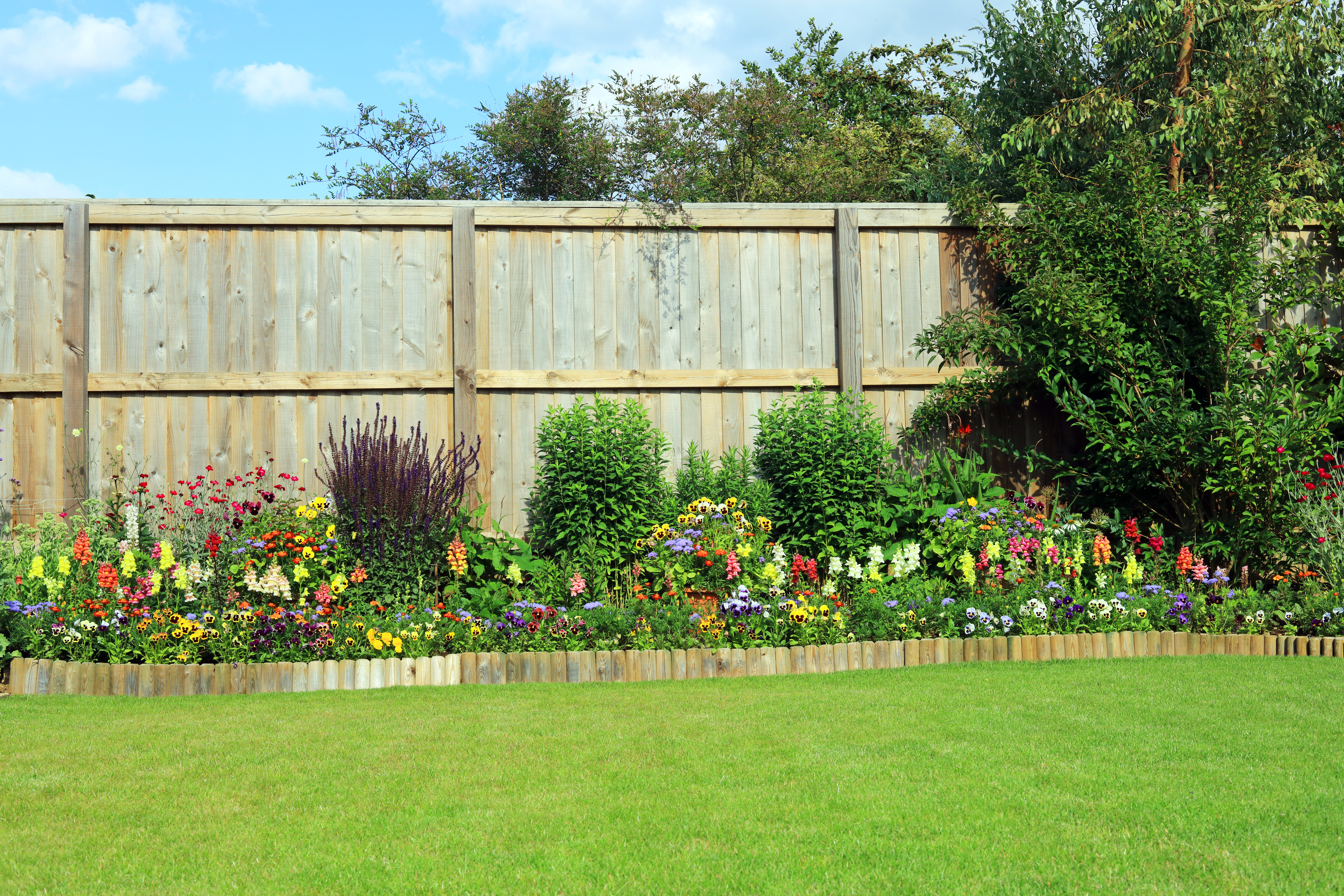 garden fence 2