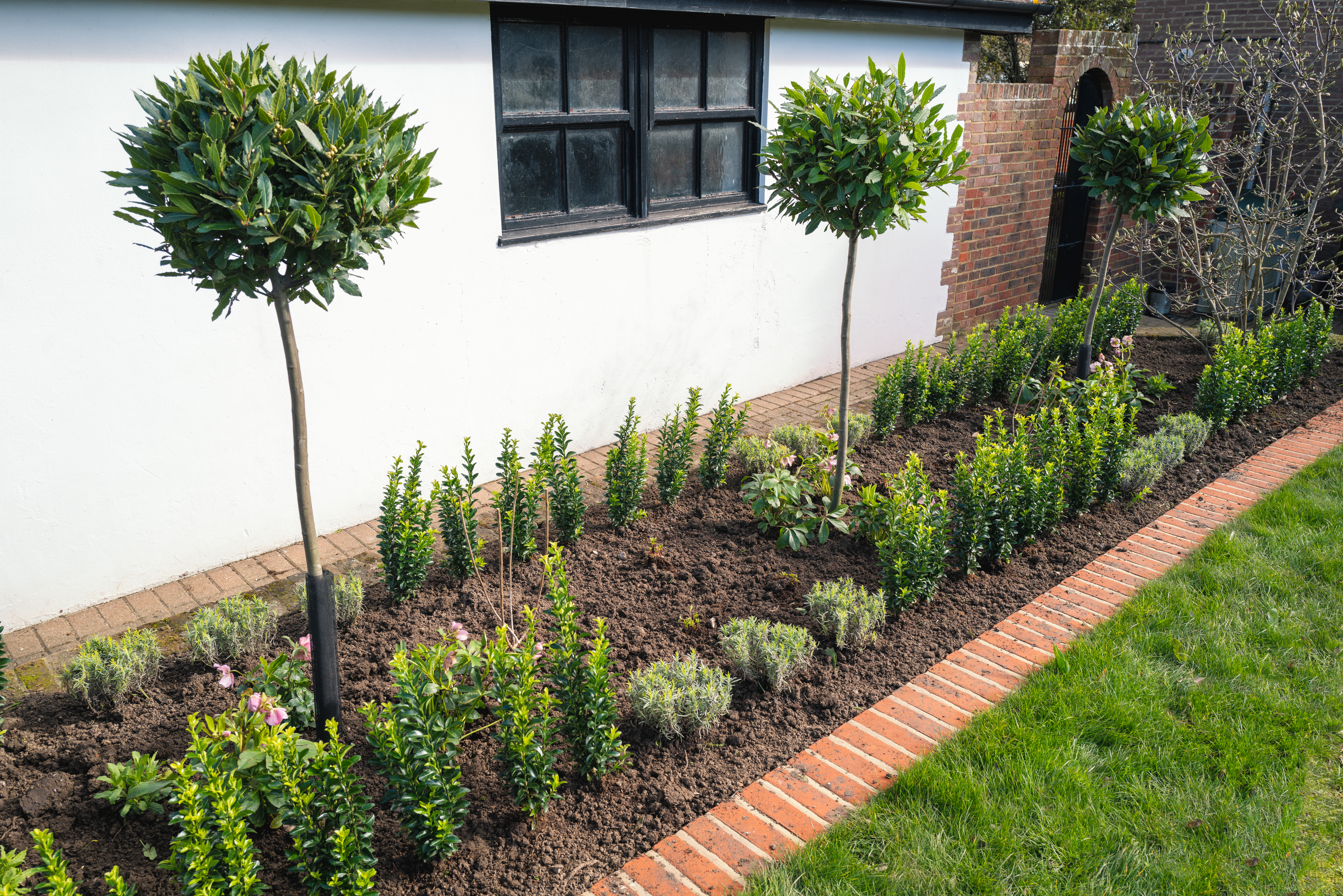 garden edging and borders 2 (1)