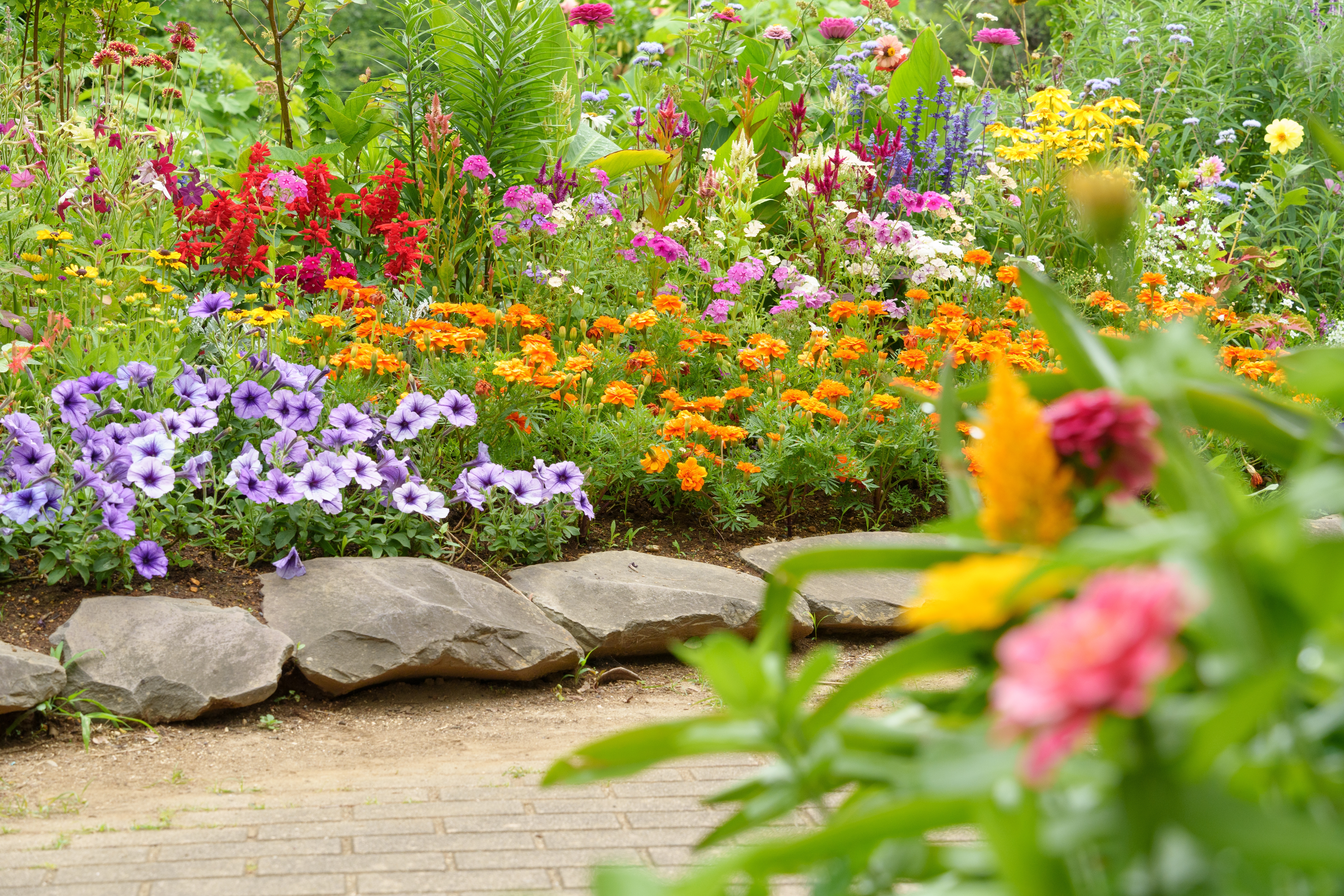 summer garden 2