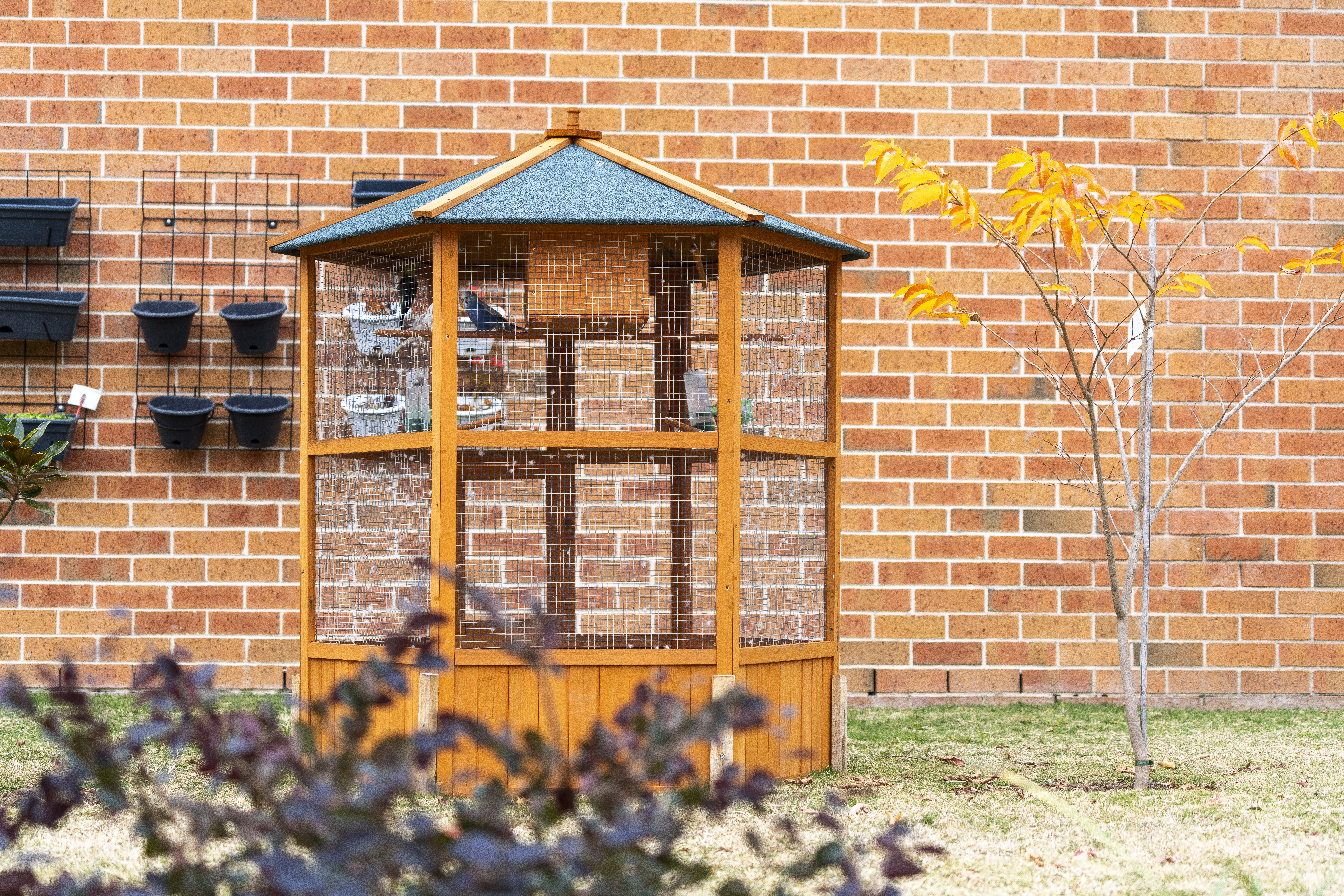 RAC-images-st francis-03